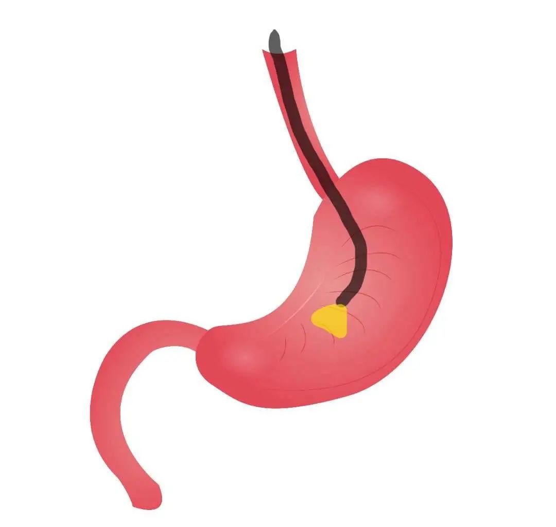 1692436272665177.jpg 640.jpg